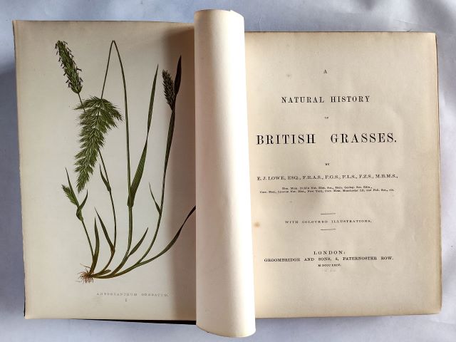 A Natural History of British Grasses title page