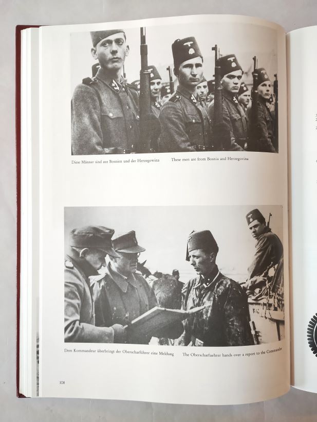 Europaische Freiwillige im Bild inside