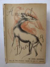 Animal Drawing front cover